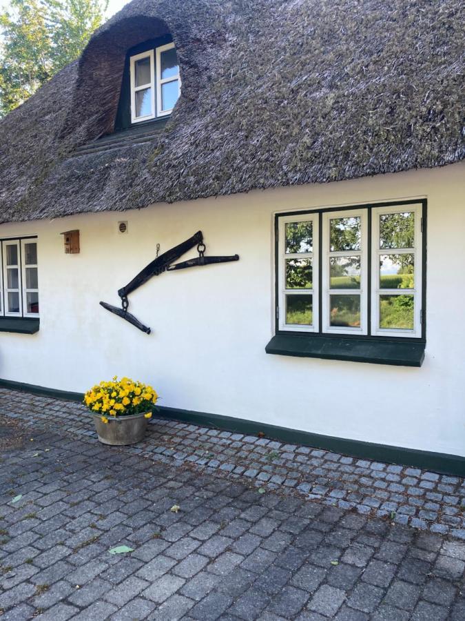 Skovlyset'S B&B Juelsminde  Exterior photo