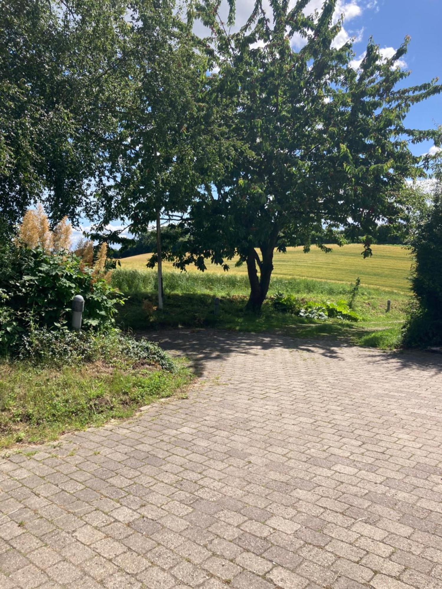 Skovlyset'S B&B Juelsminde  Exterior photo
